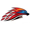 Mesa CC logo